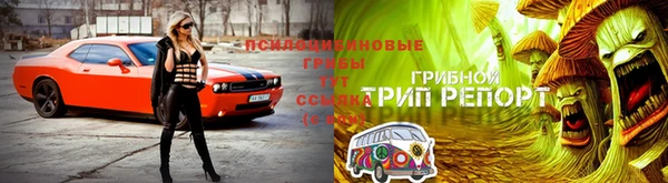 apvp Бронницы