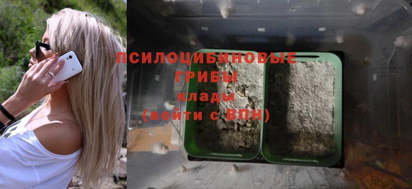 apvp Бронницы